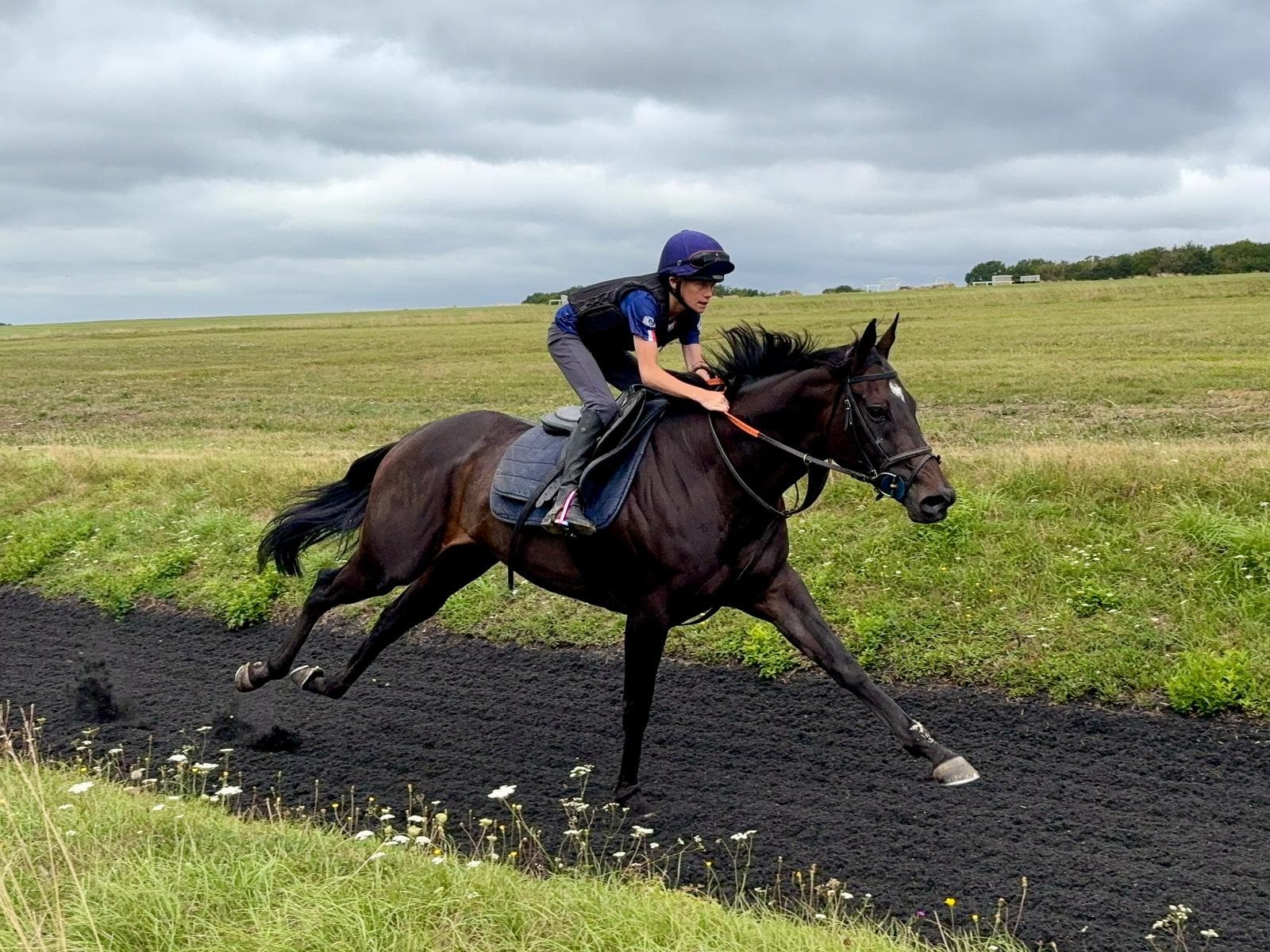 Daisy Roots Wins Again